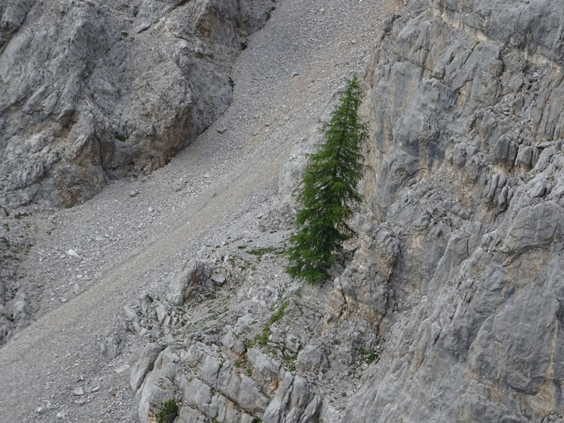 XII Apostoli........Gruppo di Brenta